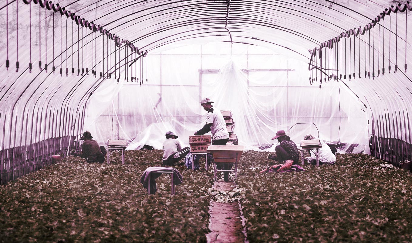 이른 더위를 식혀주는 봄비가 내린 15일 대구의 한 대학교에서 히잡(hijab)을 쓴 외국인 유학생들이 우산을 쓰고 캠퍼스를 걷고 있다. 뉴스원